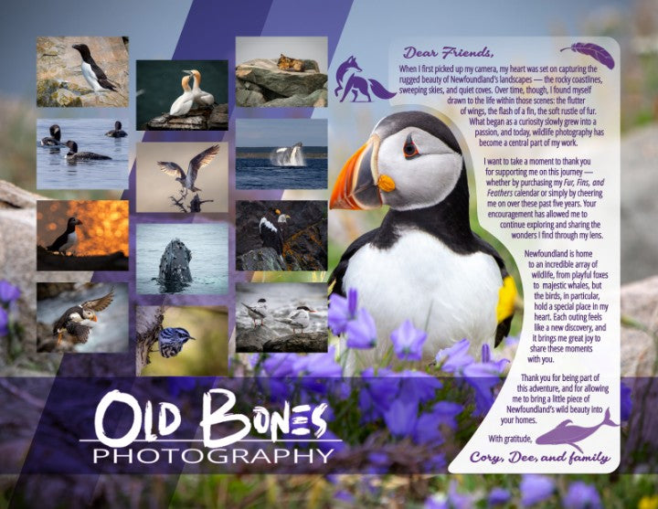 Fur, Fins and Feathers - 2026 Photo Calendar