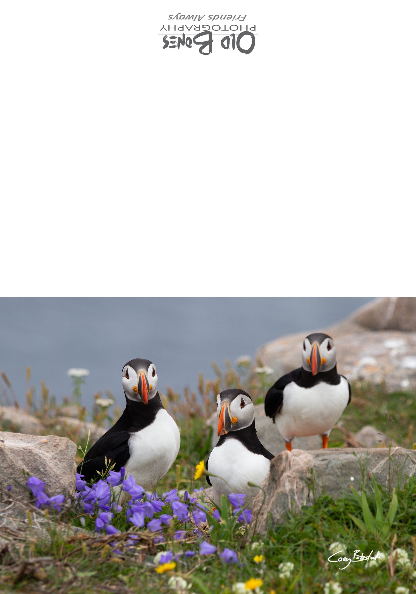 Forever Friends - Greeting Card with verse