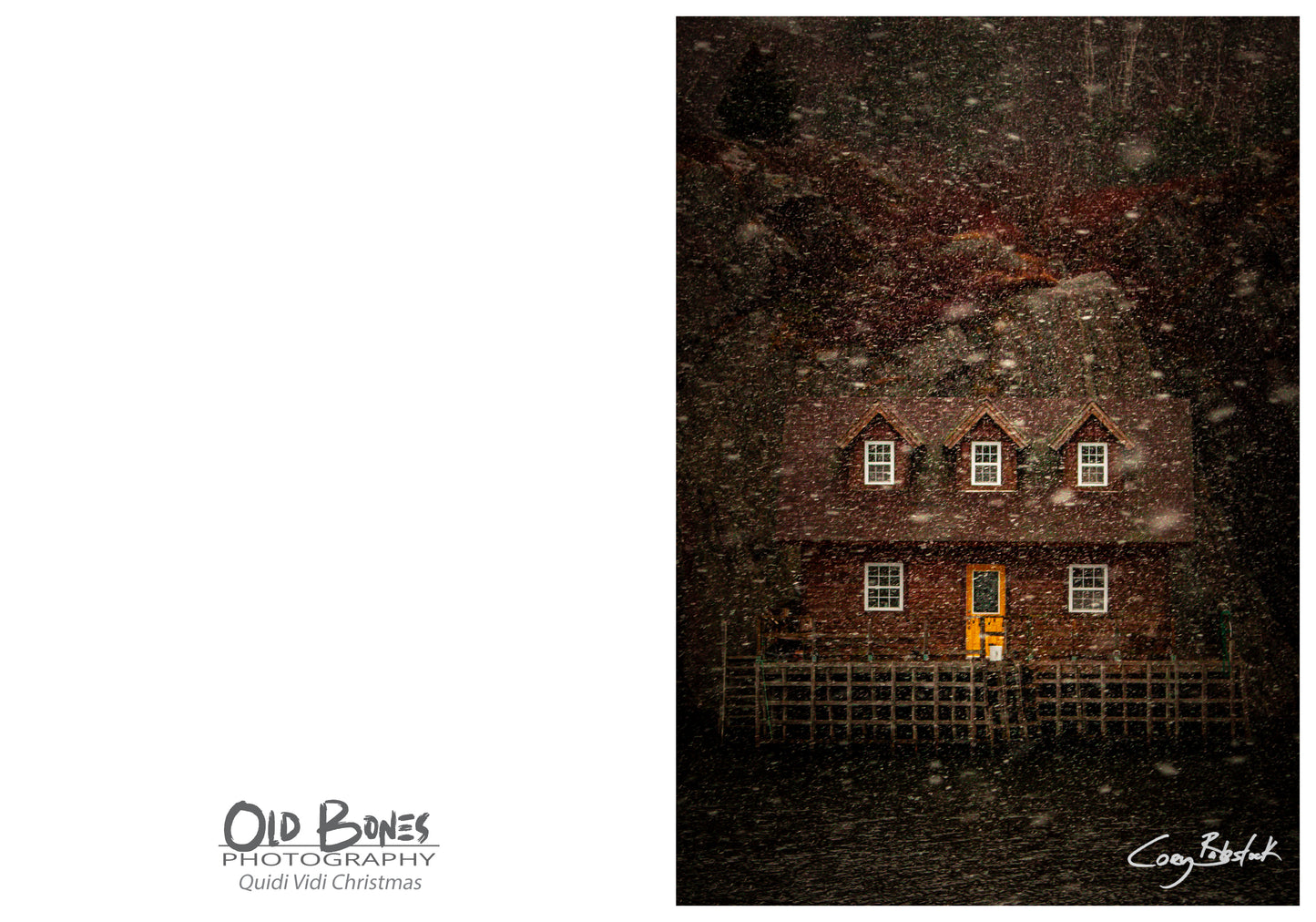 Lost in the Snow - Greeting Card