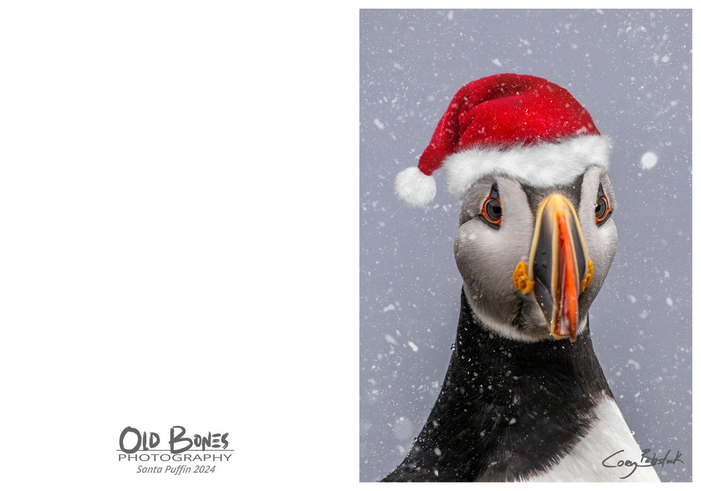 Santa Puffin 2024 - Christmas Card
