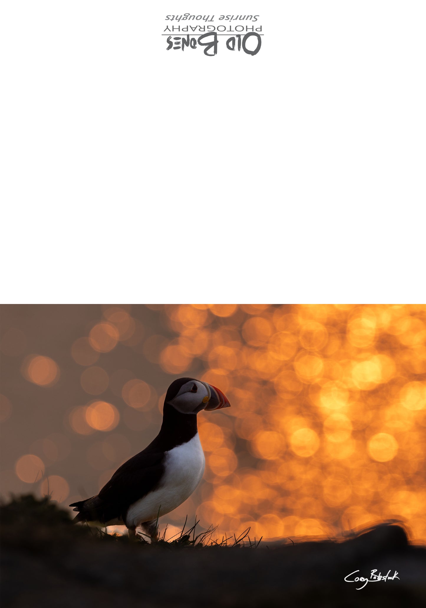 Sunrise Thoughts - Greeting Card with verse