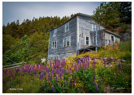 Butter Cove – Newfoundland