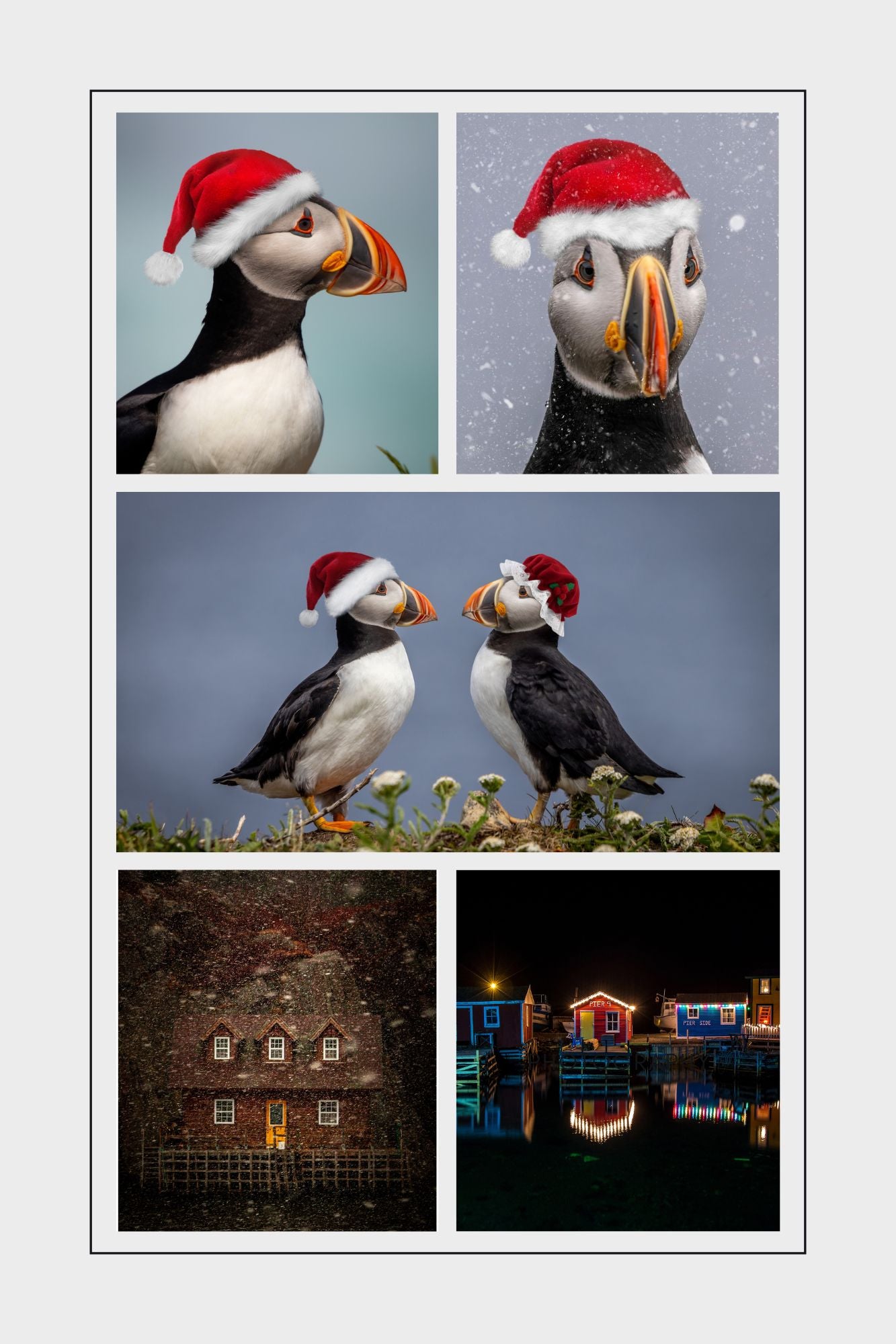 Complete Christmas Card Set of Five!