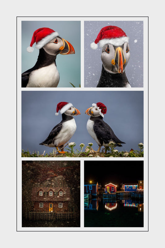 Complete Christmas Card Set of Five!