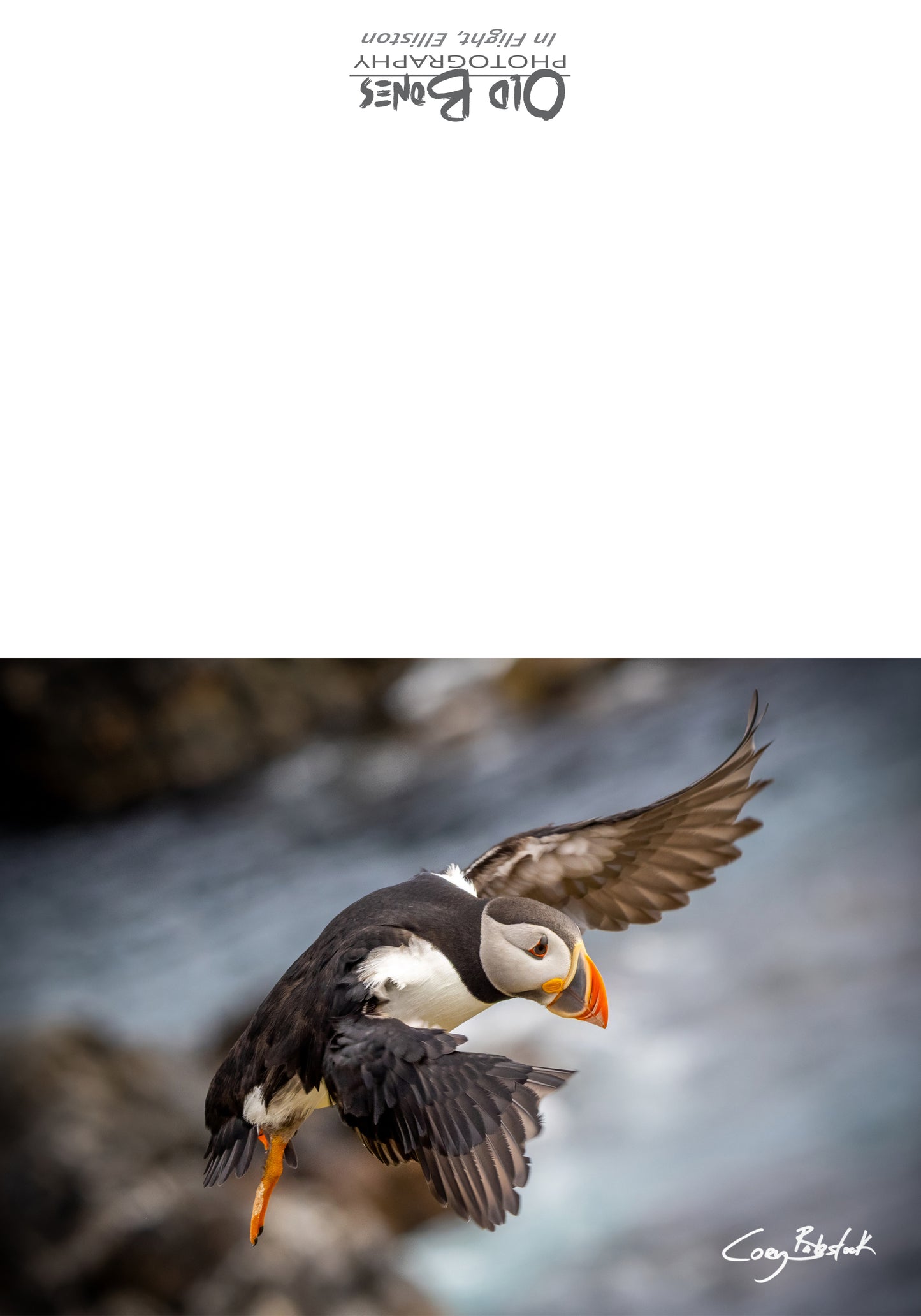 In Flight – Greeting Card (5x7)