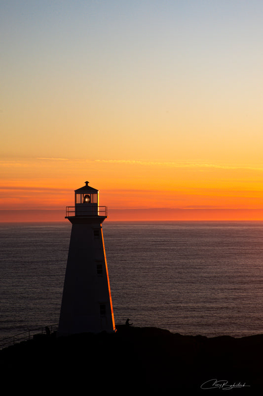 The Cape