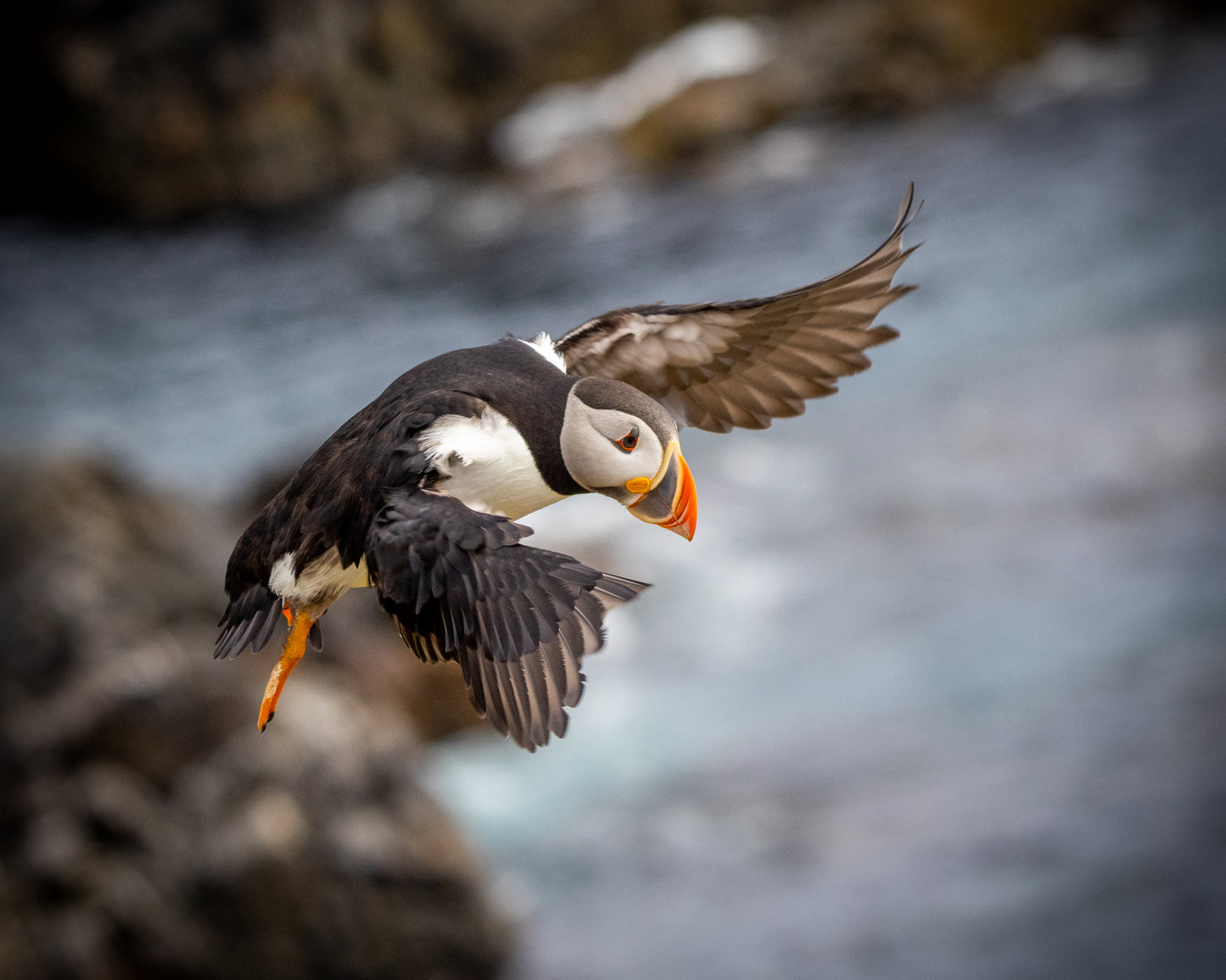 In Flight – Greeting Card (5x7)