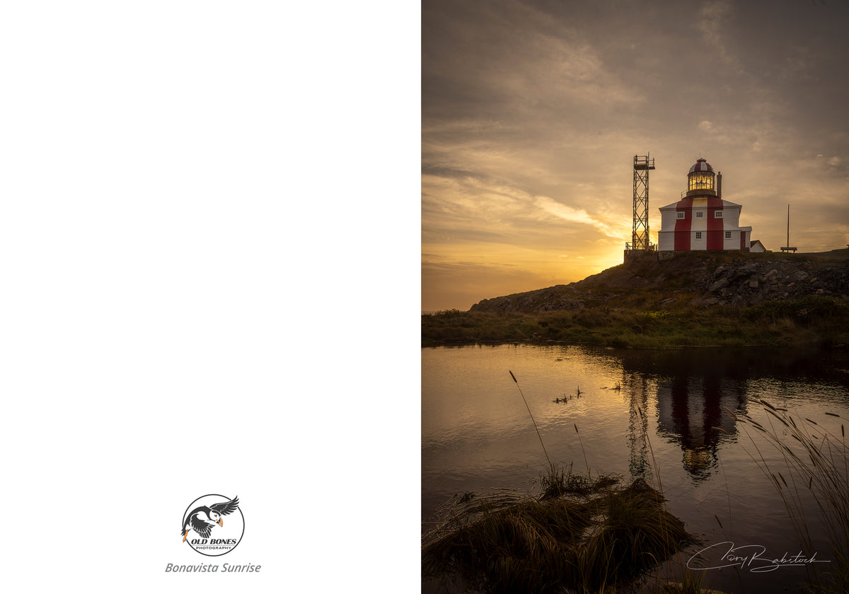 Cape Bonavista Sunrise