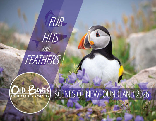 Fur, Fins and Feathers - 2026 Photo Calendar