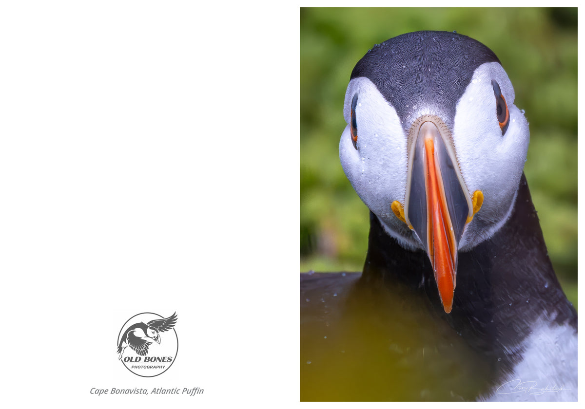 Up Close – Greeting Card (5x7)