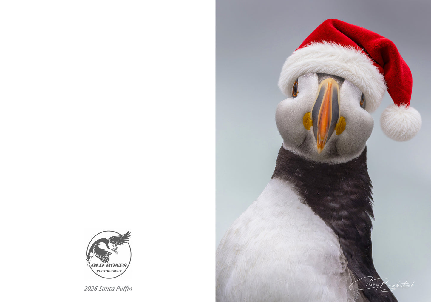 Santa Puffin 2026 - Christmas Card (5x7)